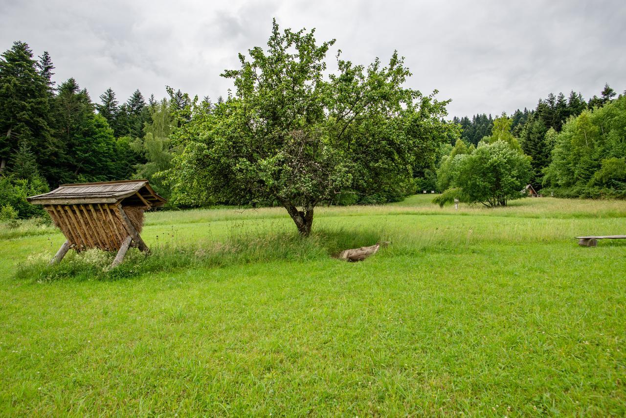 Gościniec Pięciu Stawów Acomodação com café da manhã Ustrzyki Dolne Exterior foto