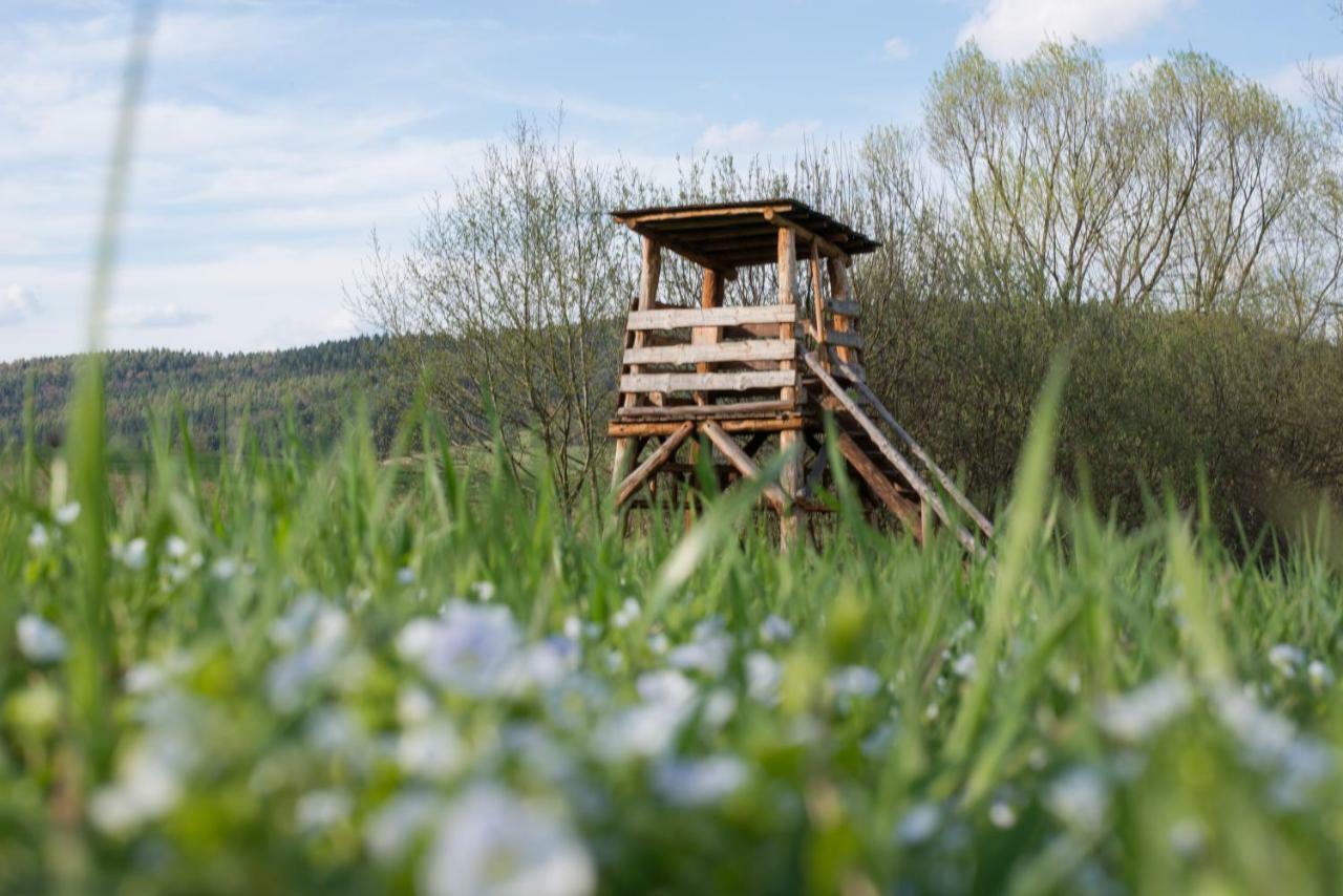 Gościniec Pięciu Stawów Acomodação com café da manhã Ustrzyki Dolne Exterior foto